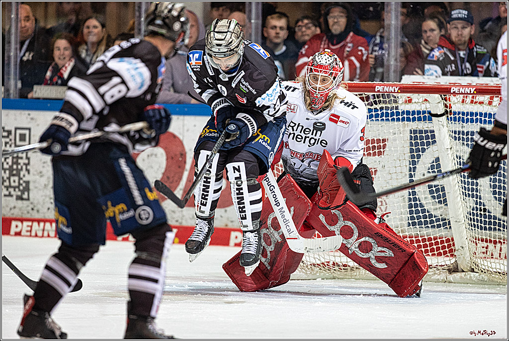 PENNY DEL;  Iserlohner EC - Koelner Haie; Iserlohn, 24.02.2023